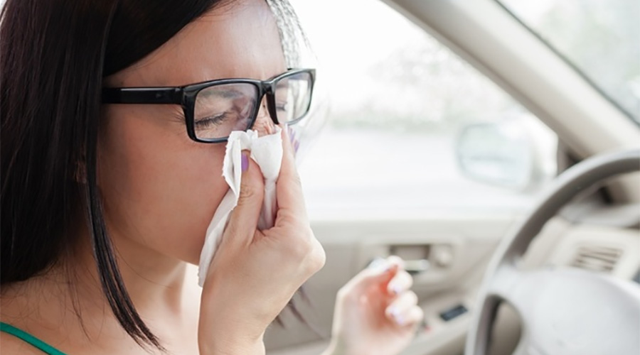 THE CAR INTERIOR MICROBIOME: GAS STATION AS AN INFECTION CONTROL HOTSPOT